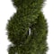 6ft. Potted Double Pond Cypress Spiral Topiary Tree